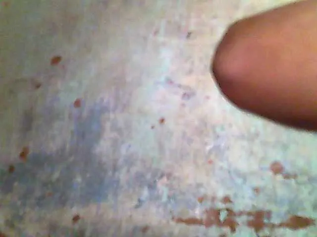 Allycha1 Image 14