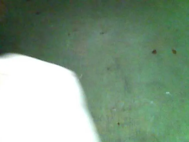 Allycha1 Image 17