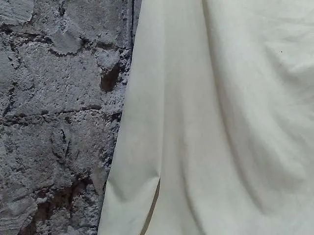 asianblossom Image 11