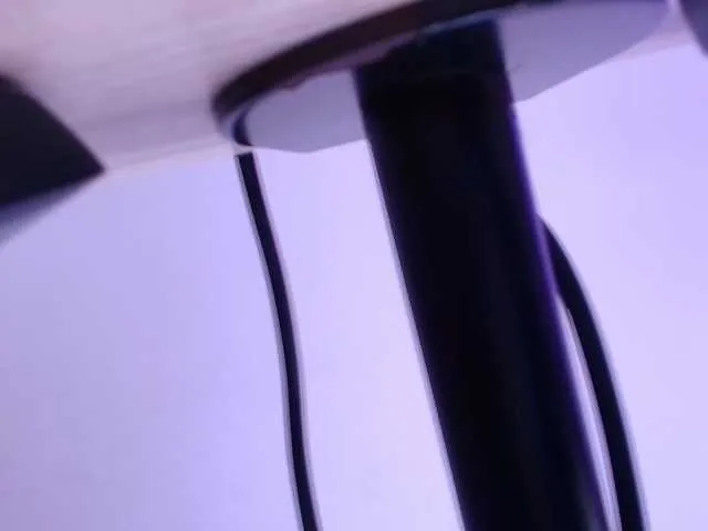 gabry-leone Image 18