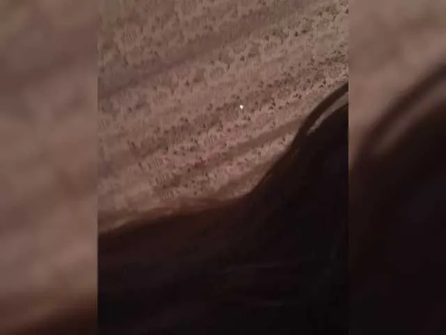 Kissa-is-klassa-a Image 4