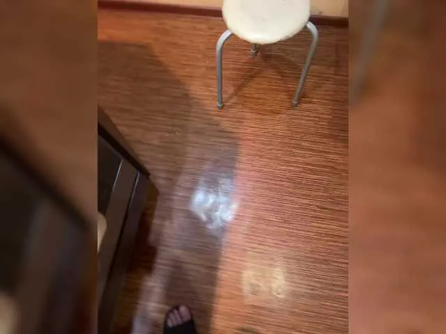 Maikl69Mila1's Thumb Image