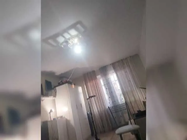 Oyster-lemon Image 7