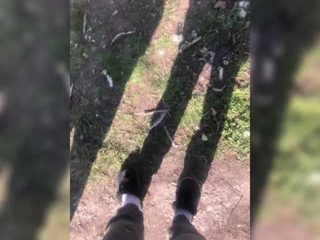 selennandbrya's Thumb Image