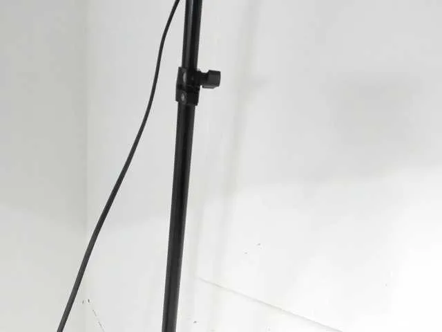 Wanda-Olsenn Image 10